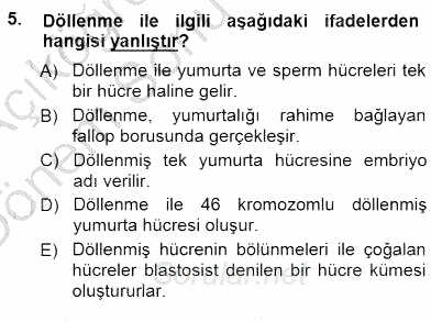 Erken Çocukluk Döneminde Gelişim 1 2012 - 2013 Dönem Sonu Sınavı 5.Soru