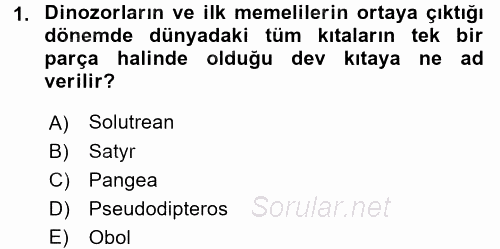 Uygarlık Tarihi 1 2017 - 2018 Ara Sınavı 1.Soru