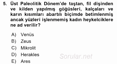 Uygarlık Tarihi 1 2017 - 2018 Ara Sınavı 5.Soru