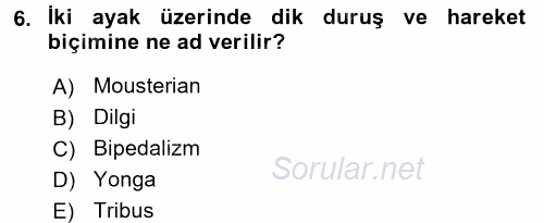 Uygarlık Tarihi 1 2017 - 2018 Ara Sınavı 6.Soru