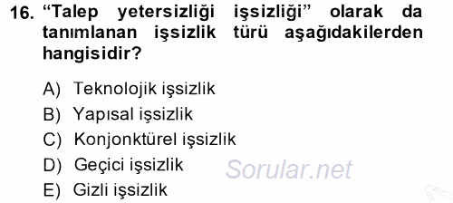 İstihdam ve İşsizlik 2013 - 2014 Ara Sınavı 16.Soru