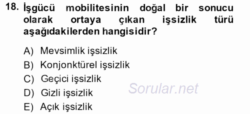 İstihdam ve İşsizlik 2013 - 2014 Ara Sınavı 18.Soru