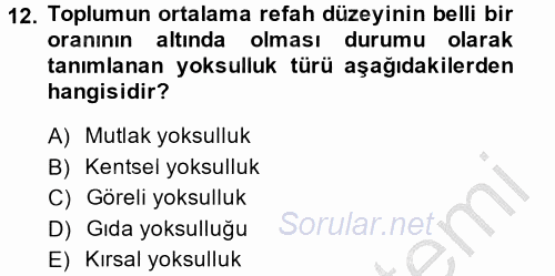 Gelir Dağılımı ve Yoksulluk 2014 - 2015 Dönem Sonu Sınavı 12.Soru