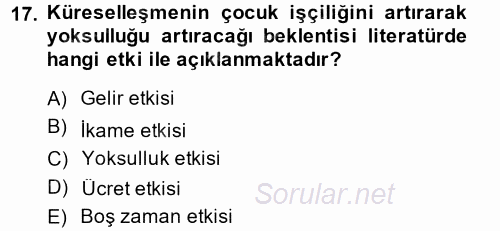 Gelir Dağılımı ve Yoksulluk 2014 - 2015 Dönem Sonu Sınavı 17.Soru