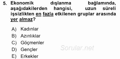 Sosyal Politika 2016 - 2017 Dönem Sonu Sınavı 5.Soru