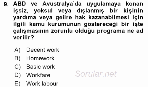 Sosyal Politika 2016 - 2017 Dönem Sonu Sınavı 9.Soru
