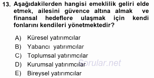 Menkul Kıymet Yatırımları 2016 - 2017 Ara Sınavı 13.Soru