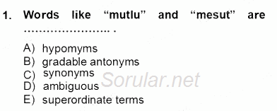 Türkçe Tümce Bilgisi Ve Anlambilim 2012 - 2013 Dönem Sonu Sınavı 1.Soru