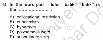 Türkçe Tümce Bilgisi Ve Anlambilim 2012 - 2013 Dönem Sonu Sınavı 14.Soru
