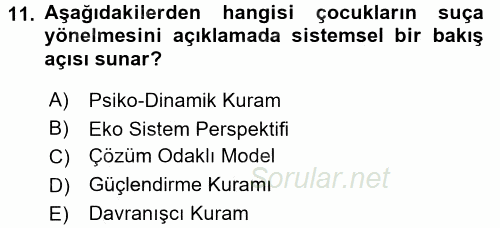 Sosyal Hizmet Uygulamaları 2015 - 2016 Dönem Sonu Sınavı 11.Soru