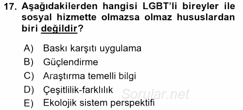 Sosyal Hizmet Uygulamaları 2015 - 2016 Dönem Sonu Sınavı 17.Soru