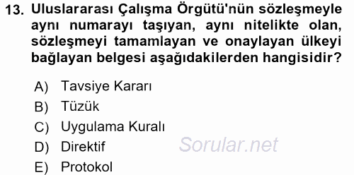 İş Sağlığı ve Güvenliği 2015 - 2016 Tek Ders Sınavı 13.Soru