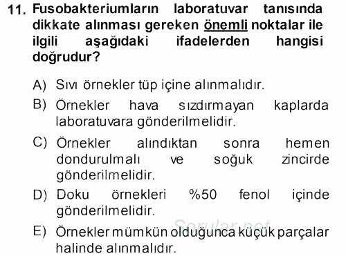 Veteriner Mikrobiyoloji ve Epidemiyoloji 2013 - 2014 Dönem Sonu Sınavı 11.Soru