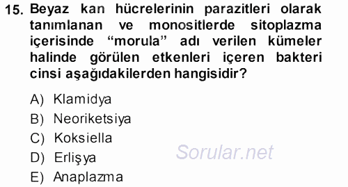 Veteriner Mikrobiyoloji ve Epidemiyoloji 2013 - 2014 Dönem Sonu Sınavı 15.Soru