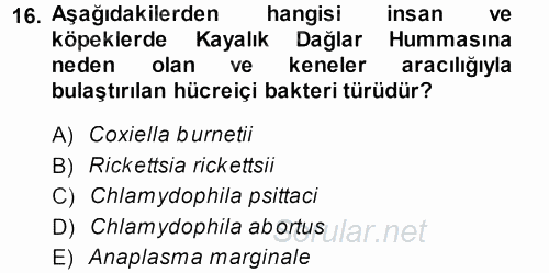 Veteriner Mikrobiyoloji ve Epidemiyoloji 2013 - 2014 Dönem Sonu Sınavı 16.Soru