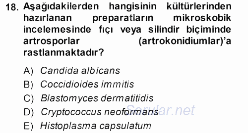 Veteriner Mikrobiyoloji ve Epidemiyoloji 2013 - 2014 Dönem Sonu Sınavı 18.Soru