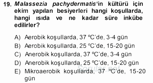 Veteriner Mikrobiyoloji ve Epidemiyoloji 2013 - 2014 Dönem Sonu Sınavı 19.Soru