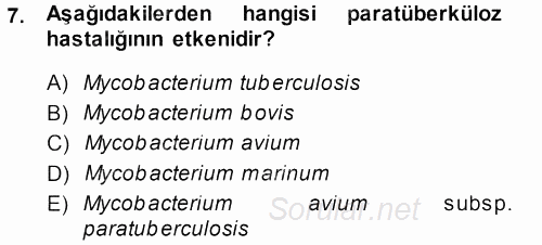 Veteriner Mikrobiyoloji ve Epidemiyoloji 2013 - 2014 Dönem Sonu Sınavı 7.Soru