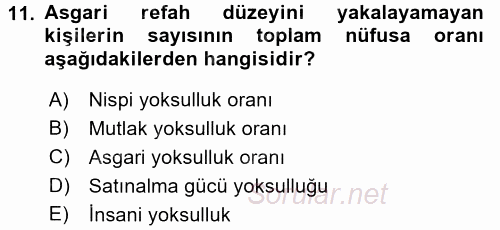 Gelir Dağılımı ve Yoksulluk 2016 - 2017 3 Ders Sınavı 11.Soru