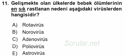 Gıda Güvenliğinin Temel Prensipleri 2017 - 2018 Ara Sınavı 11.Soru
