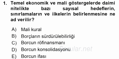 Devlet Borçları 2016 - 2017 Ara Sınavı 1.Soru