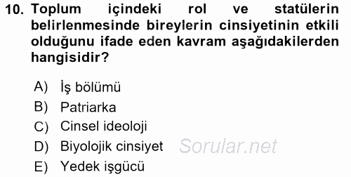 Çalışma Sosyolojisi 2016 - 2017 3 Ders Sınavı 10.Soru