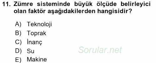 Çalışma Sosyolojisi 2016 - 2017 3 Ders Sınavı 11.Soru