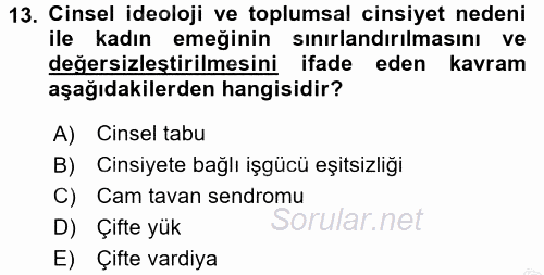 Çalışma Sosyolojisi 2016 - 2017 3 Ders Sınavı 13.Soru