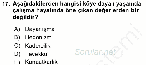 Çalışma Sosyolojisi 2016 - 2017 3 Ders Sınavı 17.Soru
