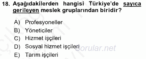 Çalışma Sosyolojisi 2016 - 2017 3 Ders Sınavı 18.Soru