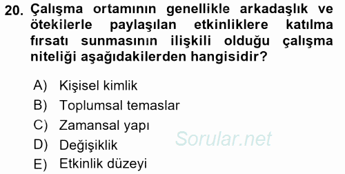 Çalışma Sosyolojisi 2016 - 2017 3 Ders Sınavı 20.Soru