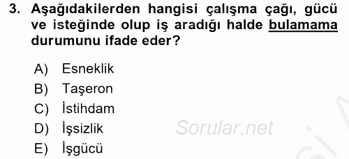 Çalışma Sosyolojisi 2016 - 2017 3 Ders Sınavı 3.Soru