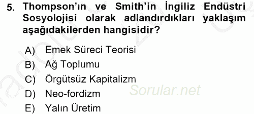 Çalışma Sosyolojisi 2016 - 2017 3 Ders Sınavı 5.Soru