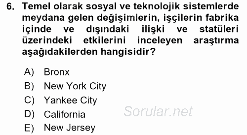 Çalışma Sosyolojisi 2016 - 2017 3 Ders Sınavı 6.Soru