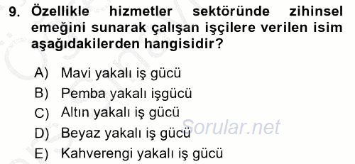 Çalışma Sosyolojisi 2016 - 2017 3 Ders Sınavı 9.Soru