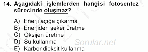 Örtü Altı Üretim Sistemleri 2013 - 2014 Ara Sınavı 14.Soru
