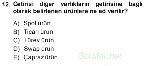 Finansal Ekonomi 2014 - 2015 Tek Ders Sınavı 12.Soru