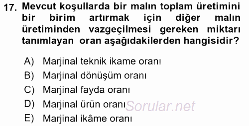 Doğal Kaynaklar ve Çevre Ekonomisi 2017 - 2018 Ara Sınavı 17.Soru