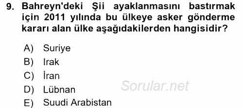 Orta Doğuda Siyaset 2015 - 2016 Dönem Sonu Sınavı 9.Soru