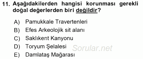 Peyzaj Çevre ve Tarım 2015 - 2016 Ara Sınavı 11.Soru