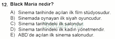 Medya Ekonomisi ve İşletmeciliği 2012 - 2013 Dönem Sonu Sınavı 12.Soru