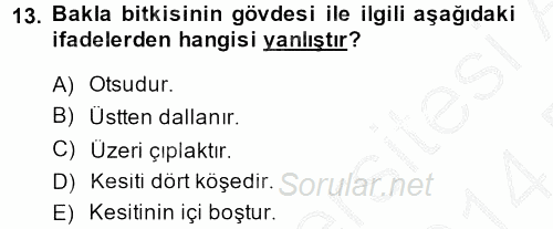 Tarla Bitkileri 1 2013 - 2014 Dönem Sonu Sınavı 13.Soru