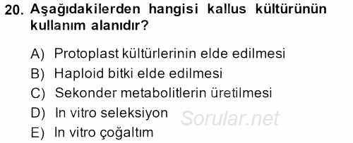 Tarla Bitkileri 1 2013 - 2014 Dönem Sonu Sınavı 20.Soru