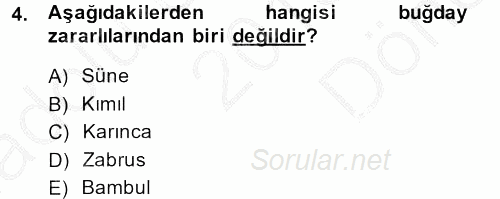 Tarla Bitkileri 1 2013 - 2014 Dönem Sonu Sınavı 4.Soru