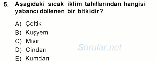 Tarla Bitkileri 1 2013 - 2014 Dönem Sonu Sınavı 5.Soru