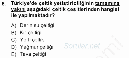 Tarla Bitkileri 1 2013 - 2014 Dönem Sonu Sınavı 6.Soru