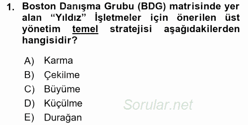 Stratejik Yönetim 2 2015 - 2016 Dönem Sonu Sınavı 1.Soru