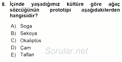 Türkçe Sözlü Anlatım 2015 - 2016 Dönem Sonu Sınavı 8.Soru