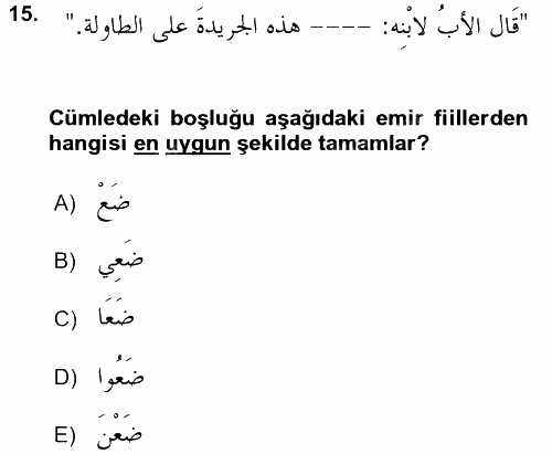 Arapça 3 2017 - 2018 Ara Sınavı 15.Soru