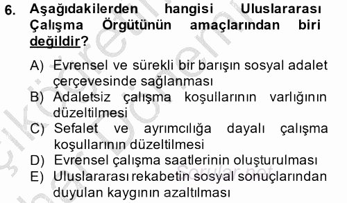 Uluslararası Sosyal Politika 2014 - 2015 Ara Sınavı 6.Soru